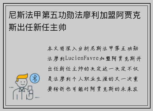 尼斯法甲第五功勋法廖利加盟阿贾克斯出任新任主帅 尼斯法甲第五功勋法廖利加盟阿贾克斯出任新任主帅